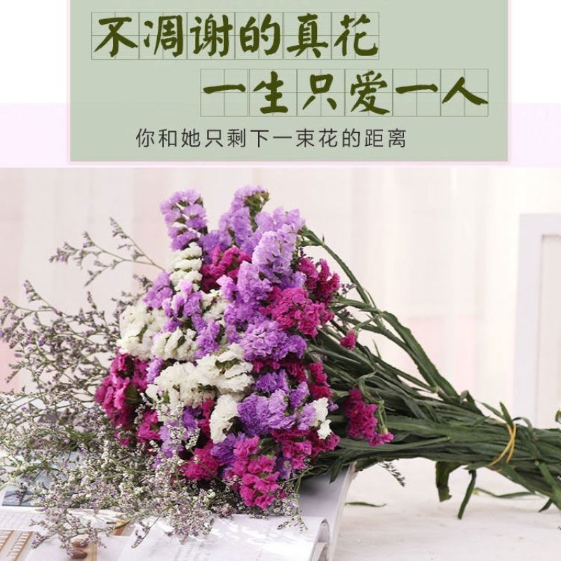 勿忘我干花花束客厅干花装饰家居装饰摆件客厅满天星真花