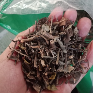 石南藤石楠藤爬岩香各种中药材批发零售中药材