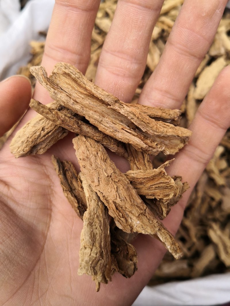 地骨皮批发地骨皮规格齐产地货源充足量大从优