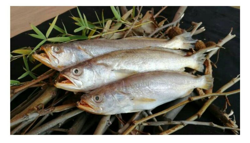 开肚小黄鱼适合餐饮家用可发样品