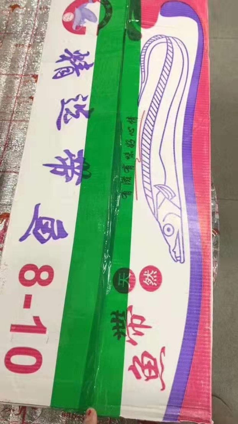 刀鱼