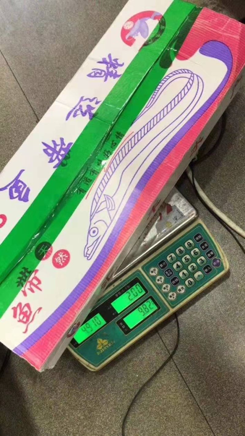 刀鱼