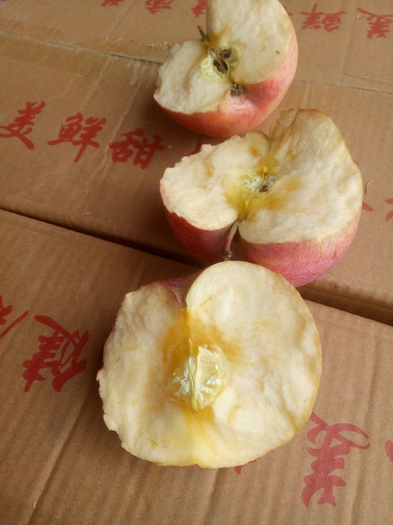 冰糖心红富士