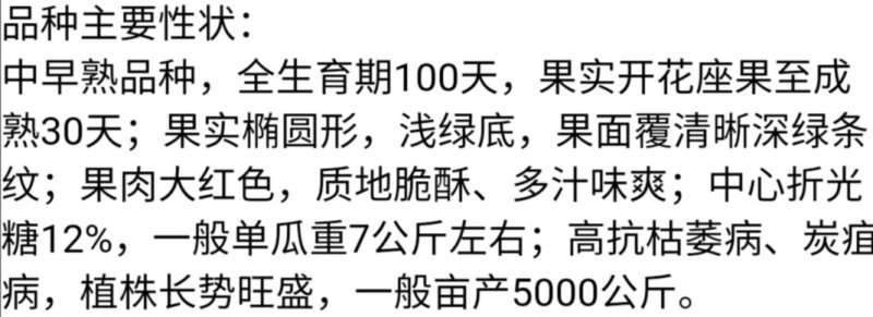 双红金城石头瓜西瓜种子高产抗旱大红沙瓤双红瓤皮薄坚韧耐贮