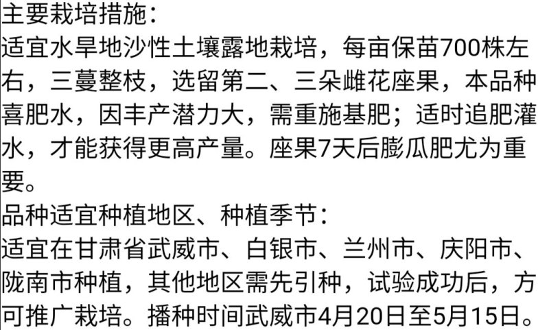 双红金城石头瓜西瓜种子高产抗旱大红沙瓤双红瓤皮薄坚韧耐贮