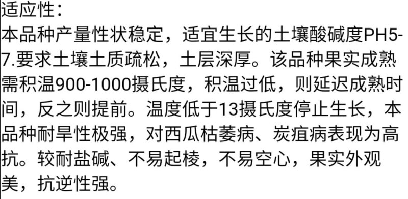 双红金城石头瓜西瓜种子高产抗旱大红沙瓤双红瓤皮薄坚韧耐贮