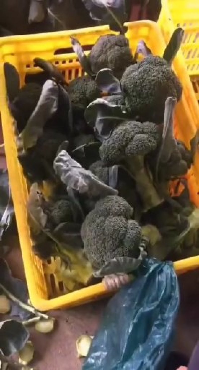 西蓝花质量很好适合走市场和各大超市
