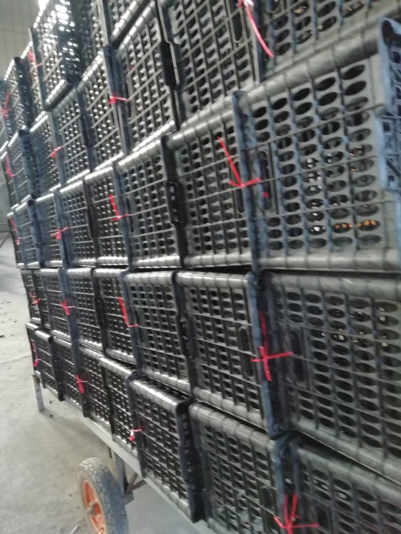 水果框（厂家质量好，多年的老厂值得很多客户的信赖）
