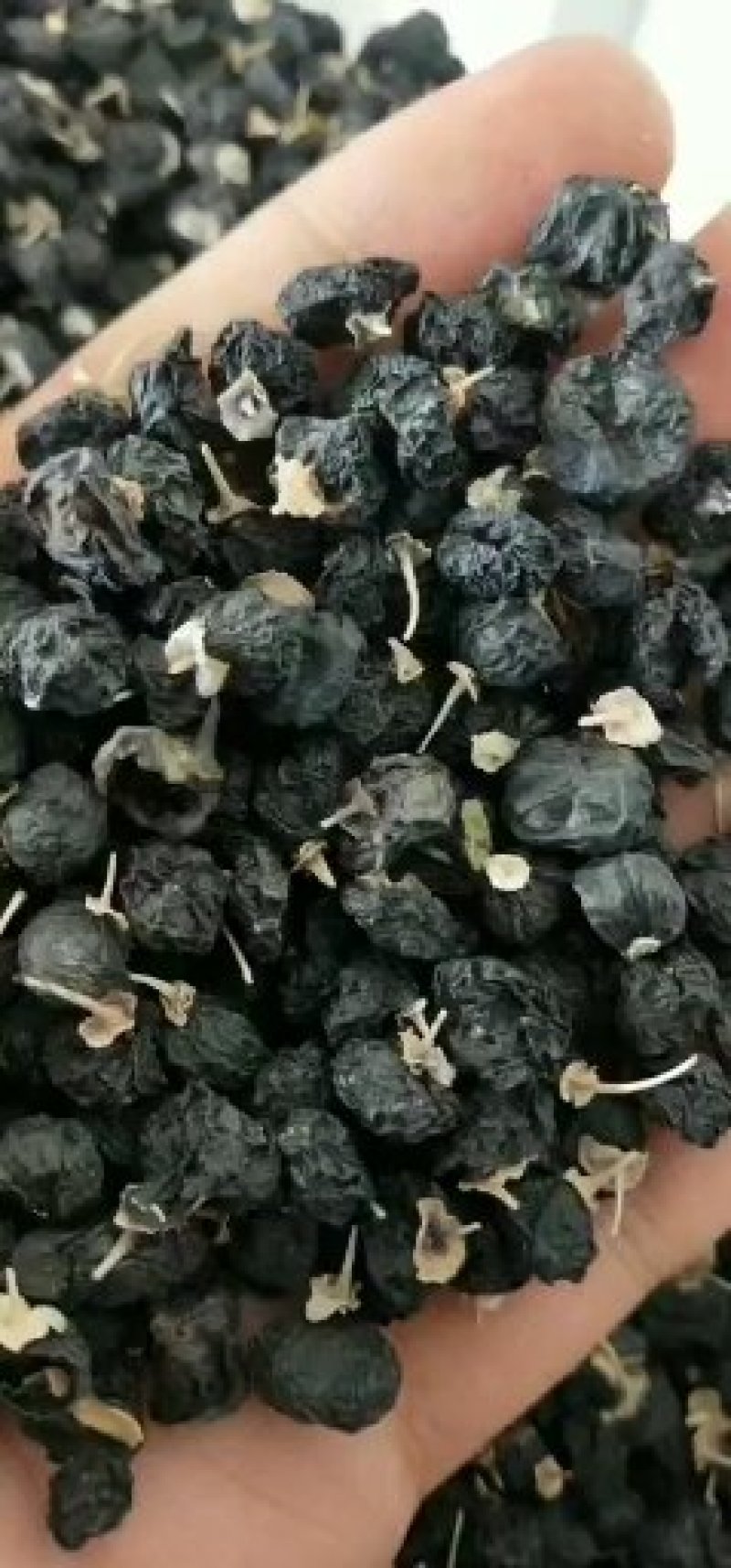 黑枸杞干货头茬沙漠野生，生于山野，安于人间