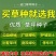 进口果岭草四季青种子庭院高尔夫球场工程绿化专用草坪草籽