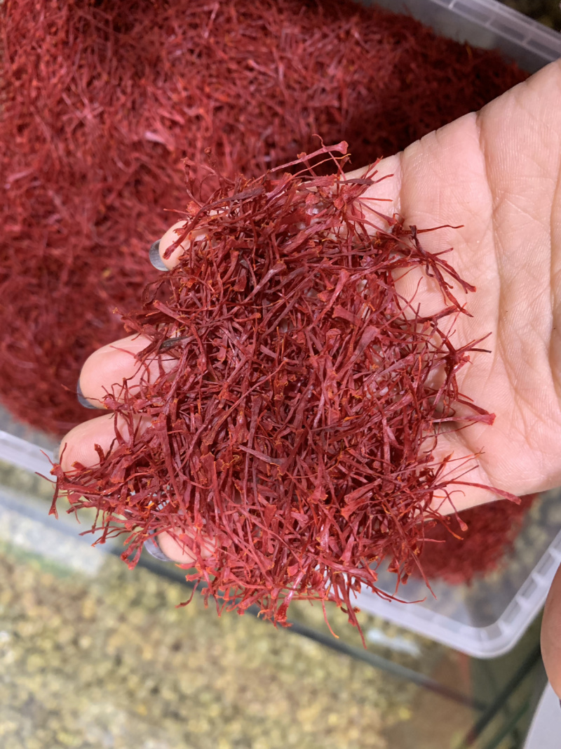 西红花中药材，藏红花，女人花番红花，伊朗，源充足，品质保障