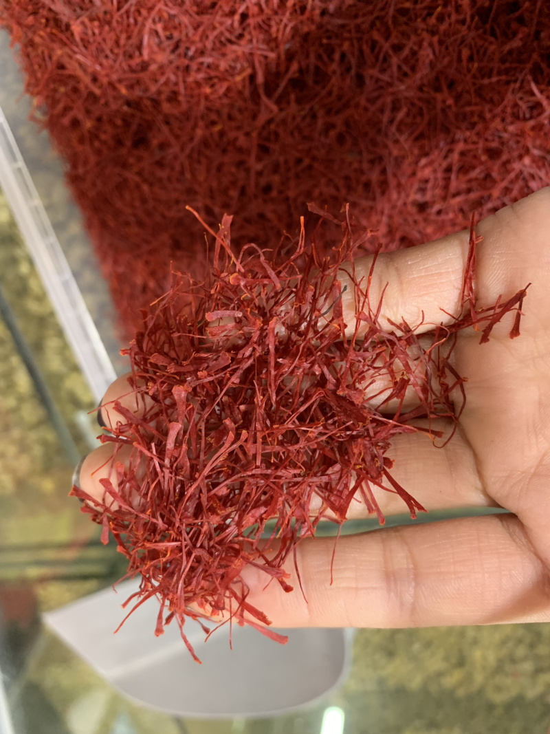 西红花中药材，藏红花，女人花番红花，伊朗，源充足，品质保障
