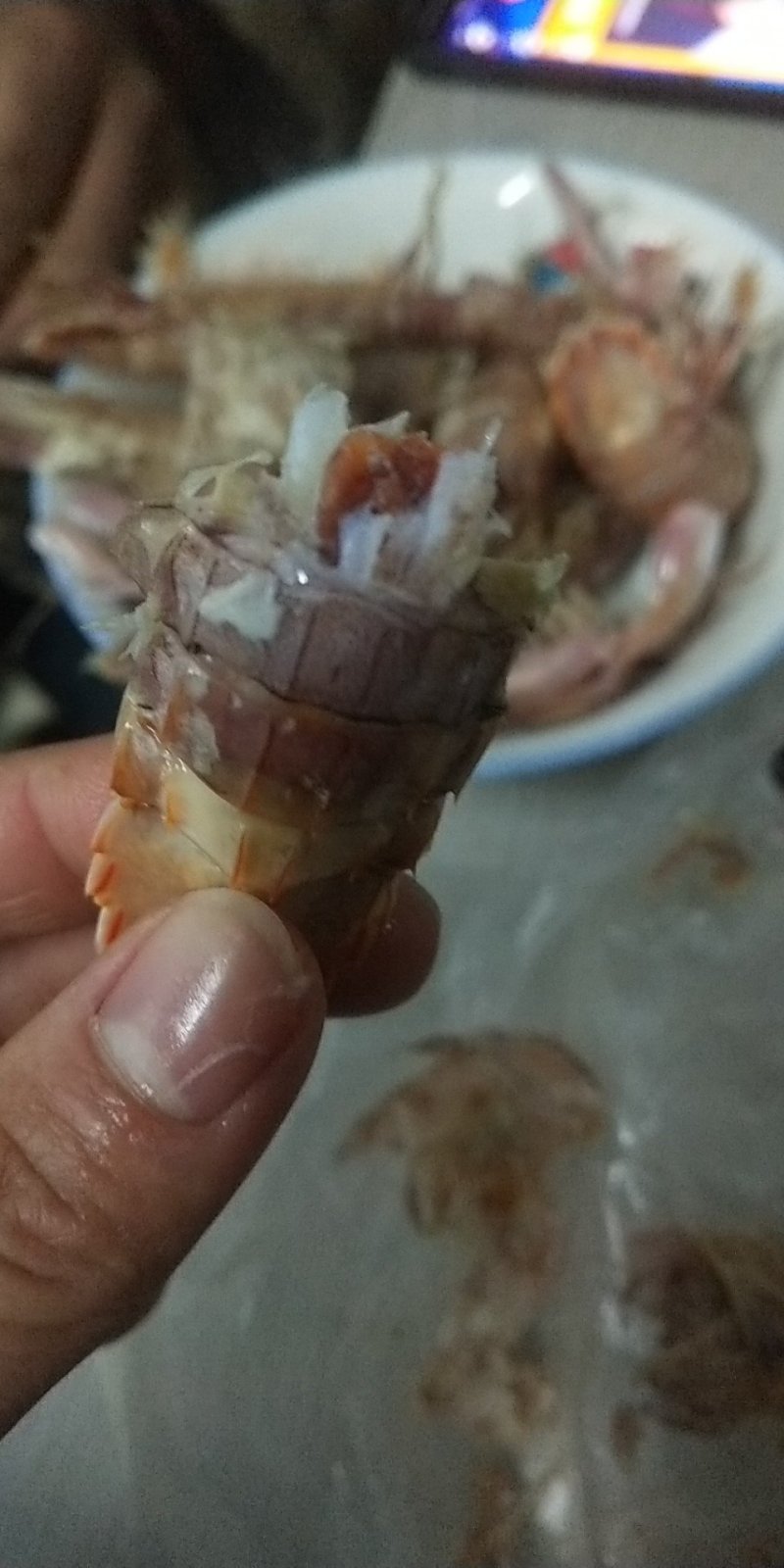 虾爬子