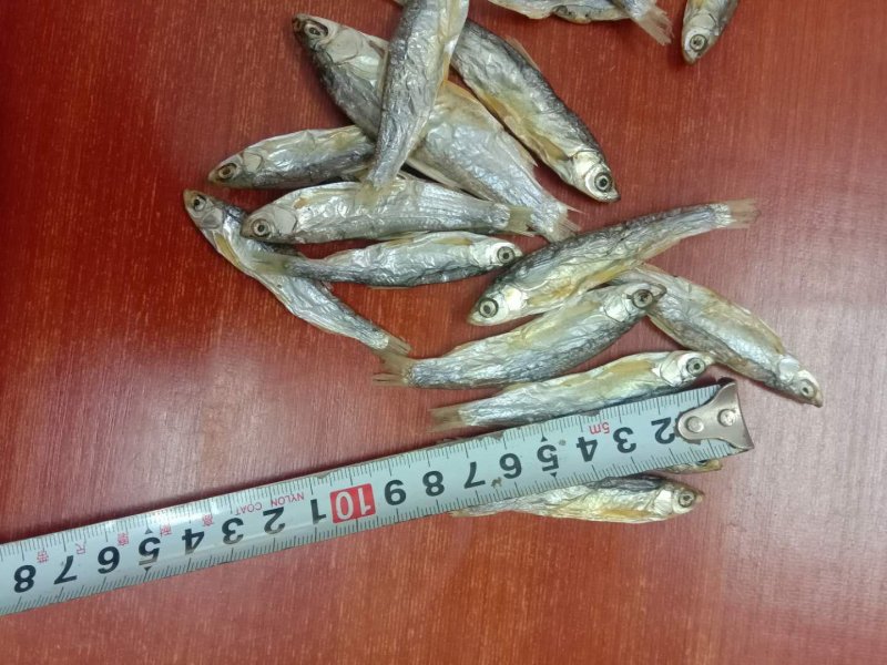 猫粮小鱼干宠物粮小鱼干水产干货淡水无盐5公分左右一条