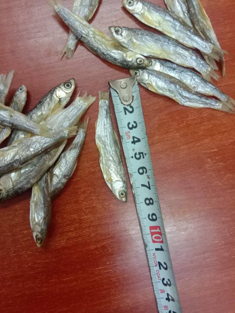 猫粮小鱼干宠物粮小鱼干水产干货淡水无盐5公分左右一条