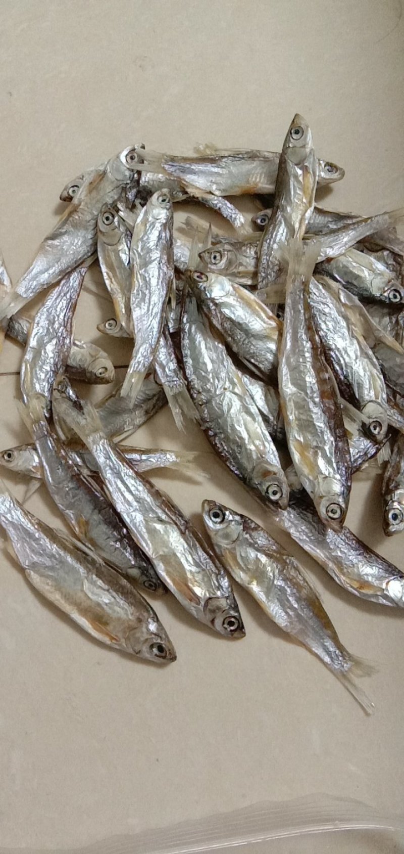 猫粮小鱼干宠物粮小鱼干水产干货淡水无盐5公分左右一条