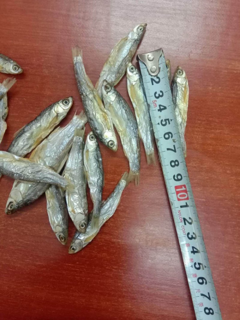 猫粮小鱼干宠物粮小鱼干水产干货淡水无盐5公分左右一条