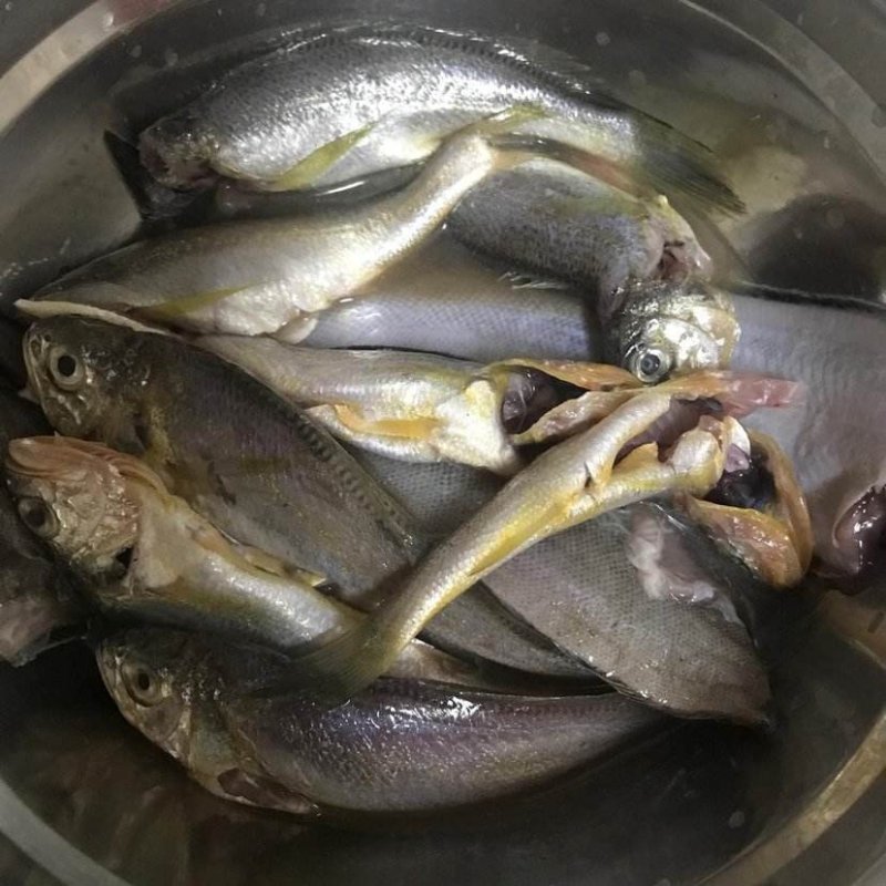 海杂鱼
