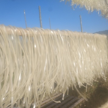 红薯粉条