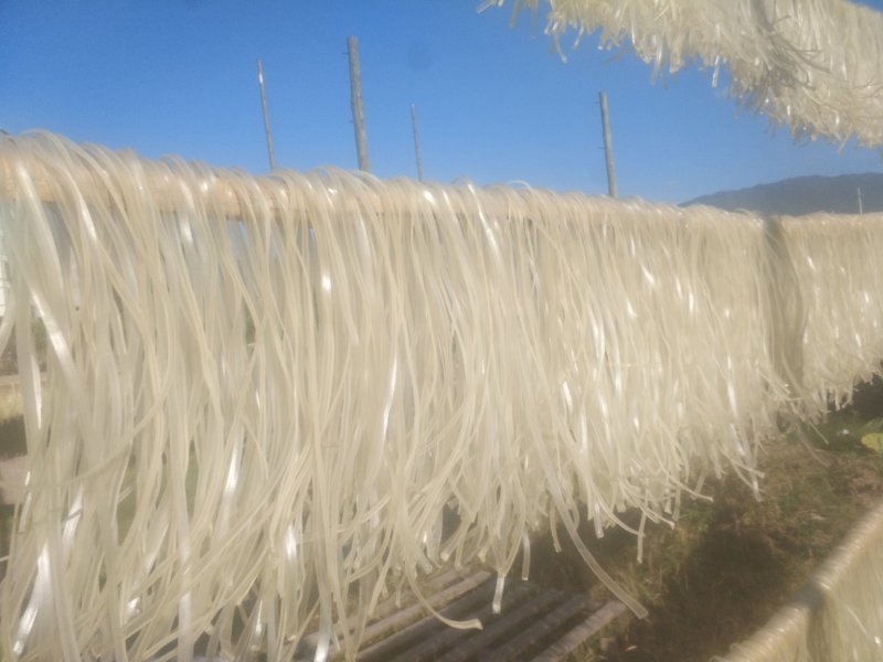 红薯粉条