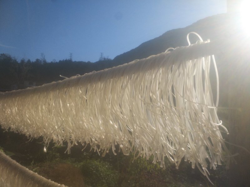 红薯粉条