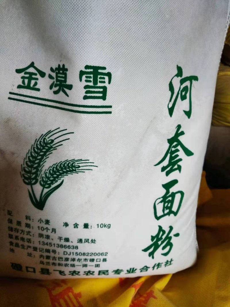 合作社直发小麦今年新小麦，河套平原优质小麦，