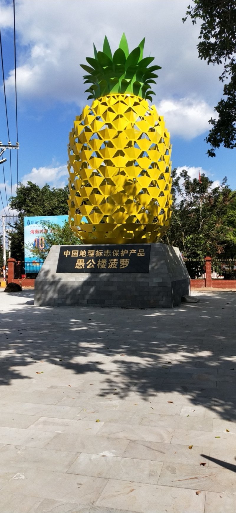 广东省徐闻县优质巴厘菠萝0.8至1.5斤欢迎致电咨询