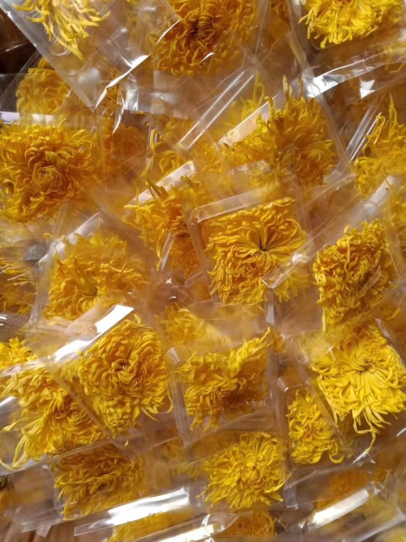 金丝皇菊茶