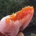 富平柿饼