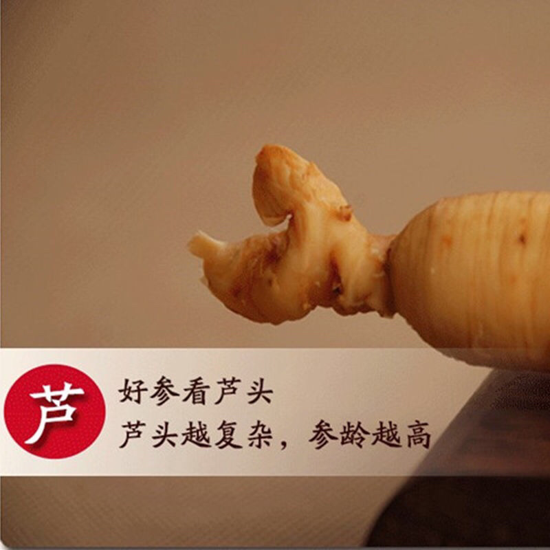 人参整支东北吉林长白山鲜人参保鲜人参泡酒煲汤55g人参