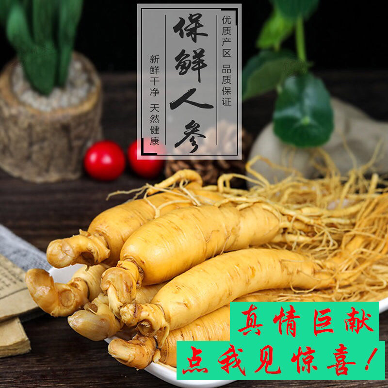 人参整支东北吉林长白山鲜人参保鲜人参泡酒煲汤55g人参
