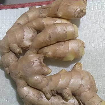 精品生姜，产地直销，货源充足