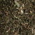 溪黄草【包邮】三斤起发货可批量可零售量大从优