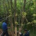 河南乌桕树，潢川乌桕苗圃场直销，数量多，品种全。