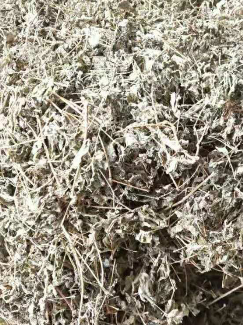溪黄茶【包邮】三斤起发货可批量可零售量大从优