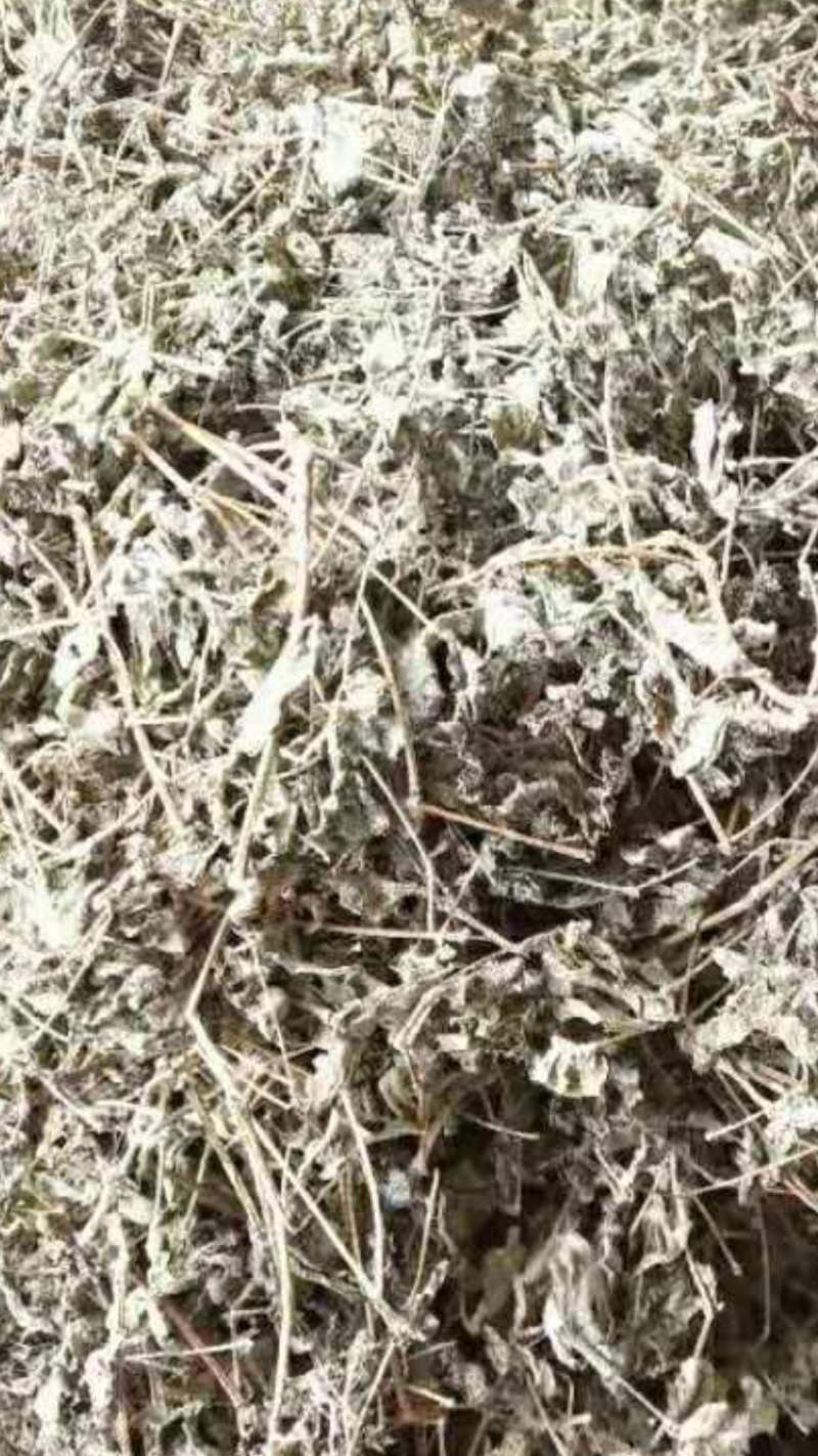 溪黄茶【包邮】三斤起发货可批量可零售量大从优