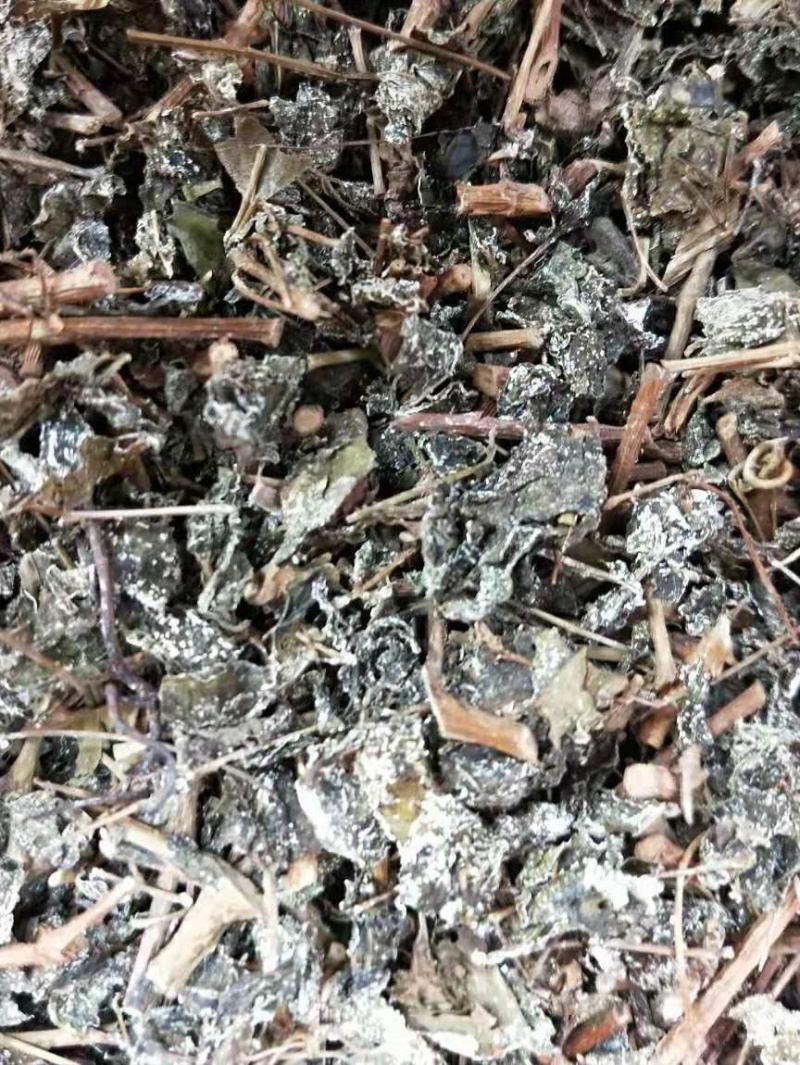 溪黄茶【包邮】三斤起发货可批量可零售量大从优