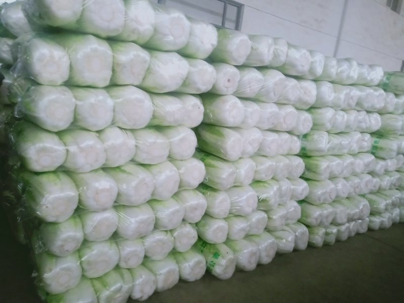 北京三号白菜包纸，精品打冷加工各种规格包装