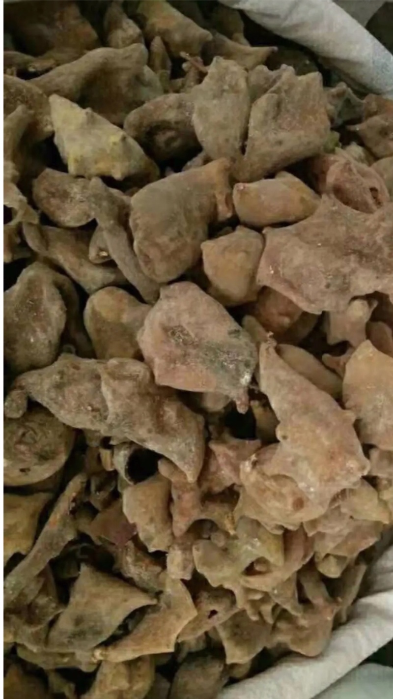 五倍子【包邮】三斤起发货可批量可零售量大从优