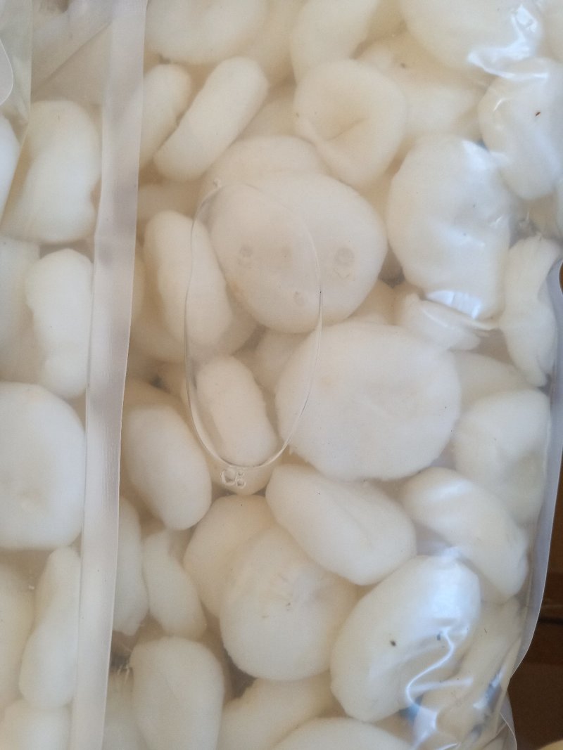 精品清水马蹄去皮白马蹄荸荠