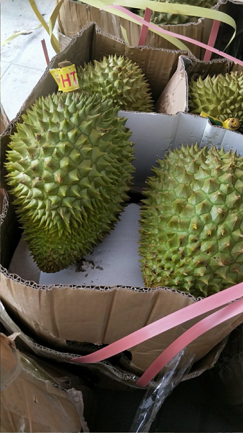 榴莲