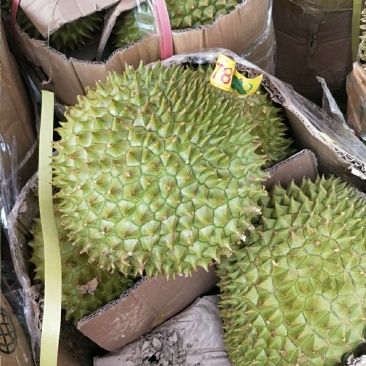 榴莲