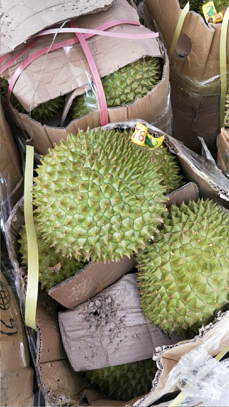 榴莲