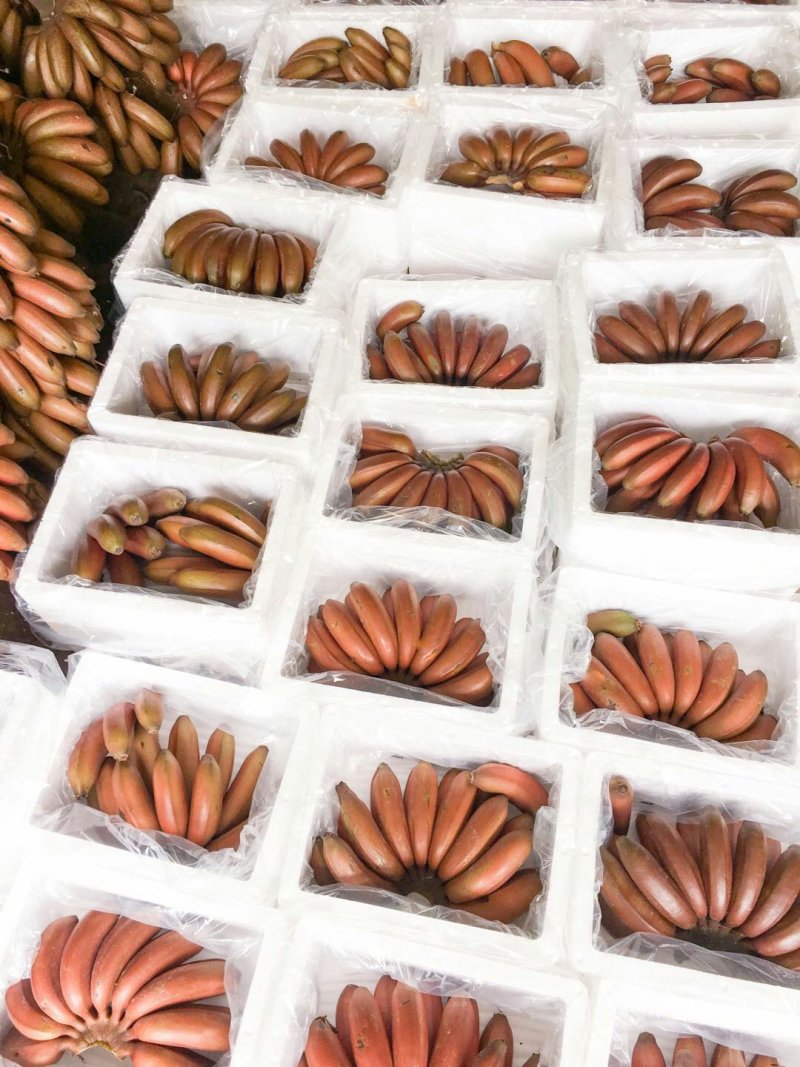 红皮香蕉红美人香蕉应季水果3斤5斤9斤整箱包邮