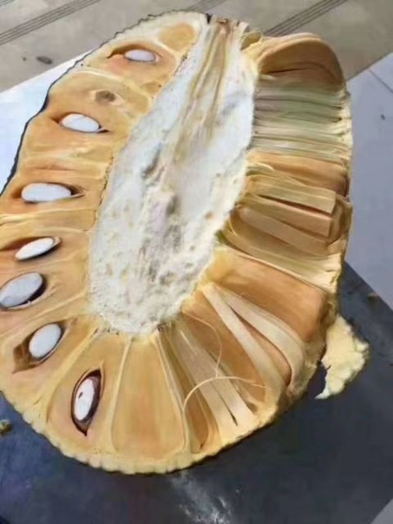 越南正宗前江红肉菠萝蜜