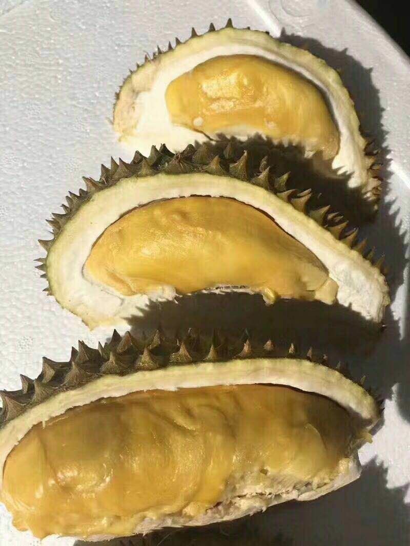 干扰榴莲