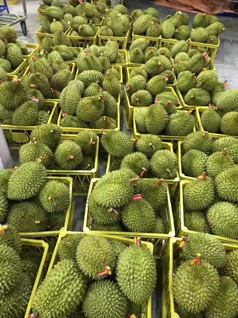 干扰榴莲
