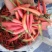 彩椒