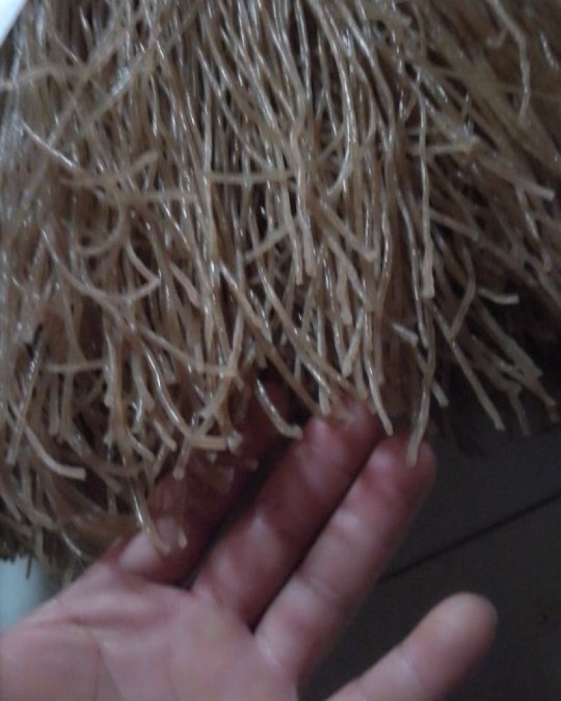 红薯粉条