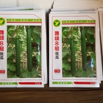 广东省农科院出品，一代交配，雅绿8号丝瓜种子。